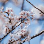 4月 予約 カウンセリング