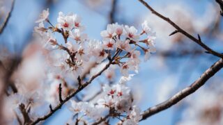 4月 予約 カウンセリング