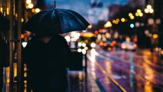 6月 雨