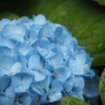 梅雨 生活 基本