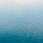 雨