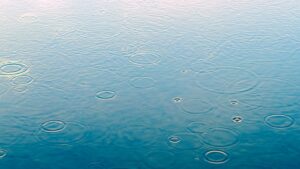 雨 
