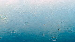 雨