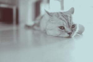 休む 休めた やらない 選択