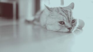 休む 休めた やらない 選択